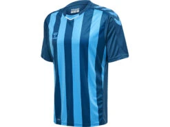 Hummel Trikot Core XK Striped Jerseyin 5 Verschiedenen Farben 21 Hummel Trikot Core XK Striped Jerseyin 5 Verschiedenen Farben -Optimal Sportserien Geschäft sport goslar hummel trikot core xk striped jersey 05