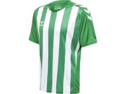 Hummel Trikot Core XK Striped Jerseyin 5 Verschiedenen Farben 20 Hummel Trikot Core XK Striped Jerseyin 5 Verschiedenen Farben -Optimal Sportserien Geschäft sport goslar hummel trikot core xk striped jersey 06