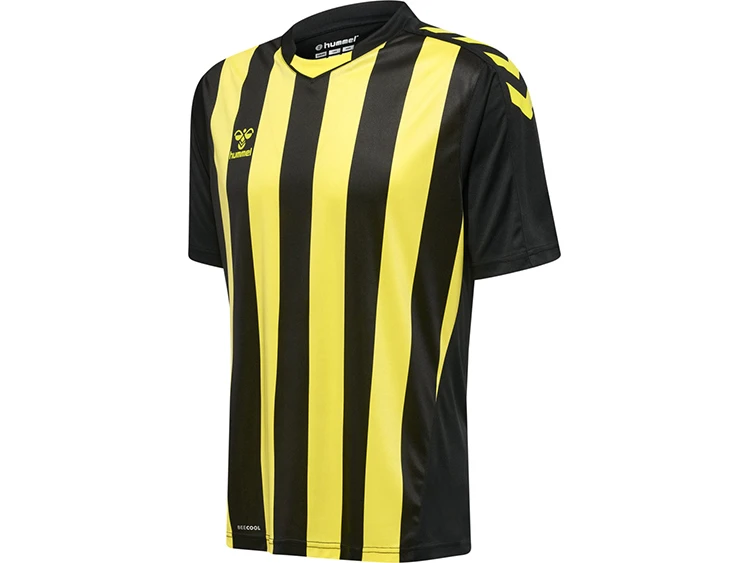 Hummel Trikot Core XK Striped Jerseyin 5 Verschiedenen Farben 8 Hummel Trikot Core XK Striped Jerseyin 5 Verschiedenen Farben – Bild 6