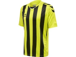 Hummel Trikot Core XK Striped Jerseyin 5 Verschiedenen Farben 18 Hummel Trikot Core XK Striped Jerseyin 5 Verschiedenen Farben -Optimal Sportserien Geschäft sport goslar hummel trikot core xk striped jersey 08