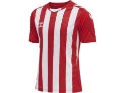 Hummel Trikot Core XK Striped Jerseyin 5 Verschiedenen Farben 17 Hummel Trikot Core XK Striped Jerseyin 5 Verschiedenen Farben -Optimal Sportserien Geschäft sport goslar hummel trikot core xk striped jersey 09
