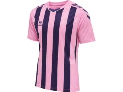 Hummel Trikot Core XK Striped Jerseyin 5 Verschiedenen Farben 16 Hummel Trikot Core XK Striped Jerseyin 5 Verschiedenen Farben -Optimal Sportserien Geschäft sport goslar hummel trikot core xk striped jersey 10