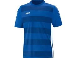 Jako Trikot Celtic 2.0 In Zehn Verschiedenen Farben -Optimal Sportserien Geschäft Jako Trikot Celtic 08