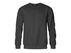Sweat-Shirt Premium Inklusive Direktflock 23 Sweat-Shirt Premium Inklusive Direktflock -Optimal Sportserien Geschäft Sweat Promodoro graphite