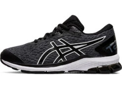 Asics Gel GT 1000 Z6