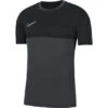 Nike Acadamy Pro Knit T-Shirt -Optimal Sportserien Geschäft sport goslar nike tee grau schwarz 01